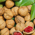 orech kráľovský hospozínsky červený plody orechy červené