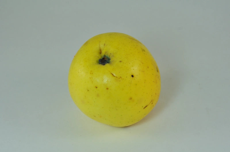 Jabloň Grahamovo