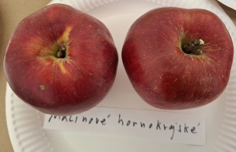 Jabloň Malinové hornokrajské