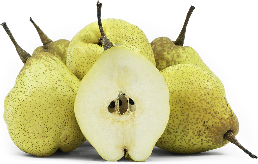 Ázijská hruška Tsu Li, Specialty Produce