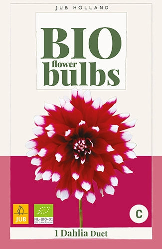 BIO Georgína Duet 1 hľuza