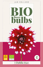 BIO Georgína Duet 1 hľuza