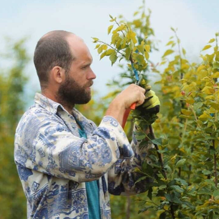 gumičky na štepenie. Praktický pomocník pri štepení, rozložiteľný materiál. ONGS