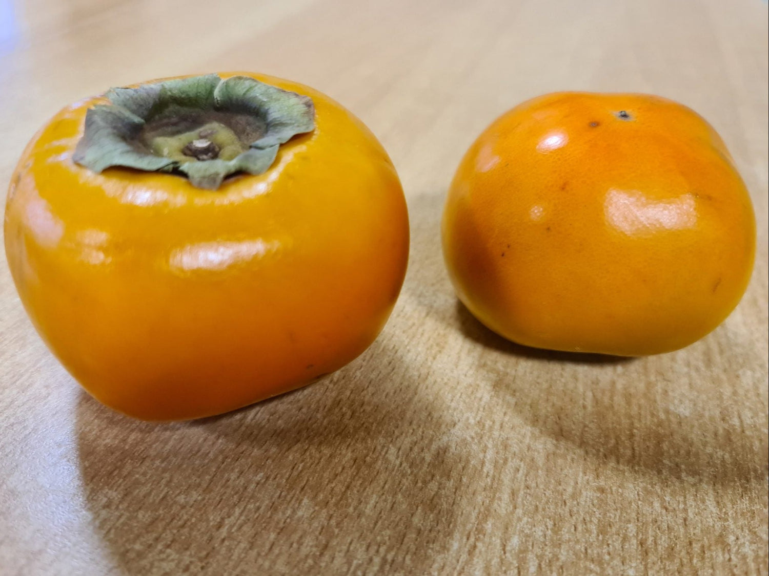 hurmikaki Sharon plody