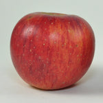 jabloň Solivarské ušľachtilé plody 