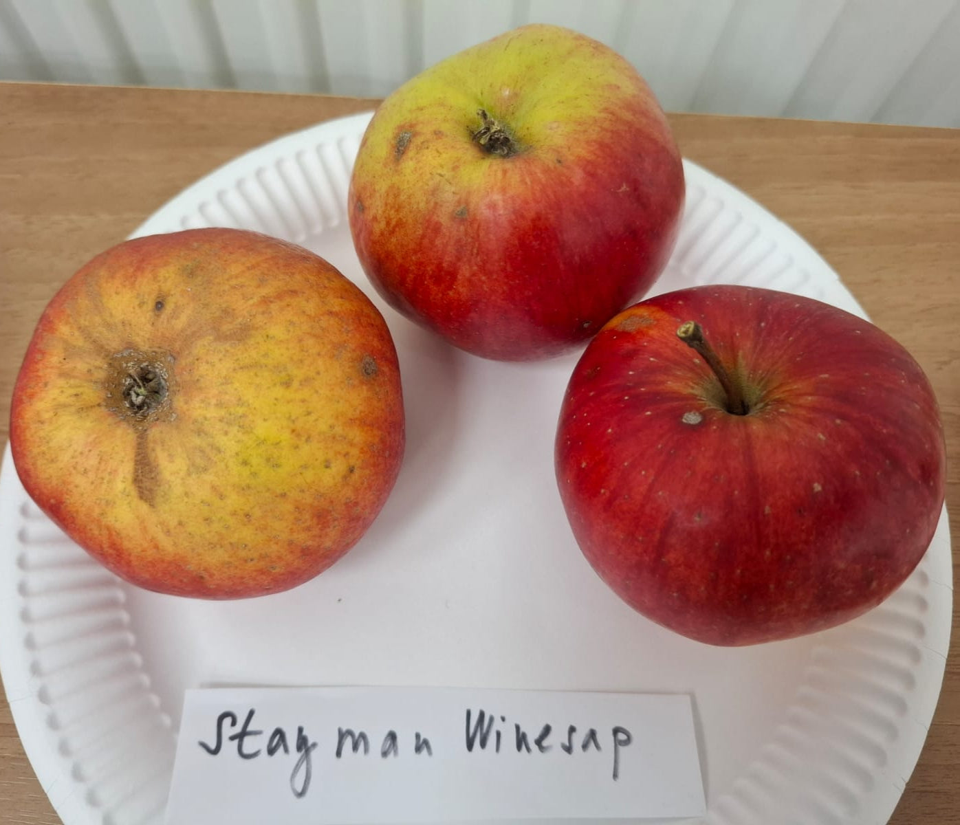 Jabloň Stayman Winesap