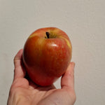 jabloň Gustavovo trvanlivé plod 