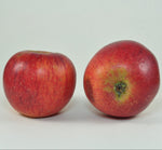 jabloň Solivarské ušľachtilé plody 