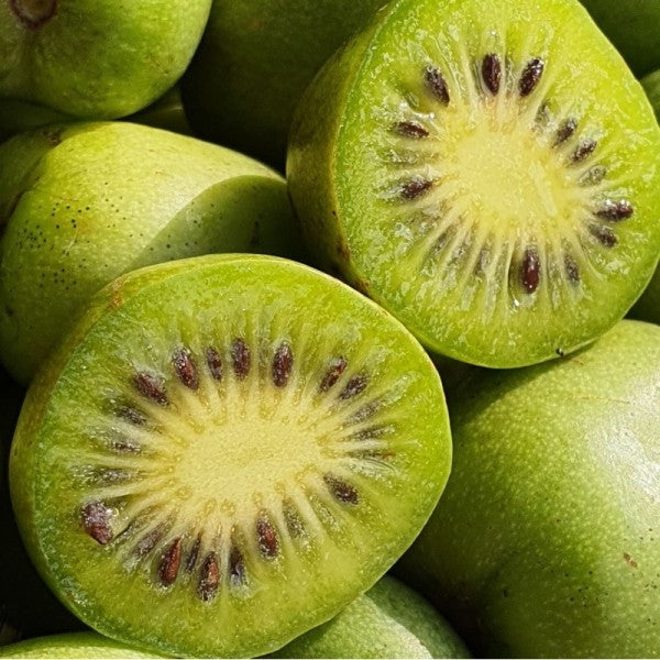 Kiwi Dr. Szymanowski plody detail
