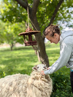 krmidlo pre vtáky prútené handmande Zeman  ovca Jola

OPBDKRMPRUT