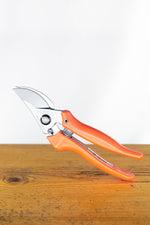 nožnice na strihanie rezanie löwe 14 
 ONNL14