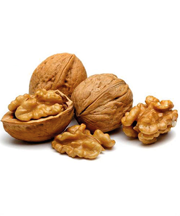 Orech kráľovský Fernette plod detail