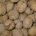 orech kráľovský saturn orechy 