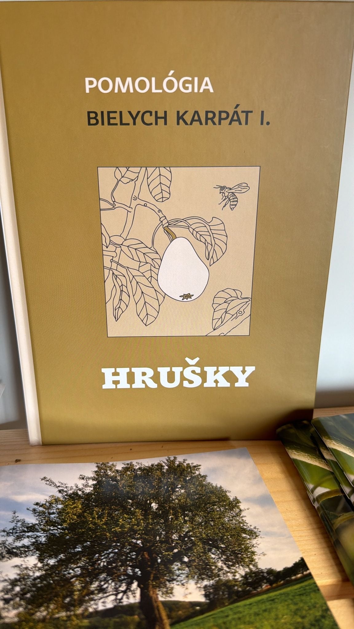 Pomológia Bielych Karpát I. - HRUŠKY