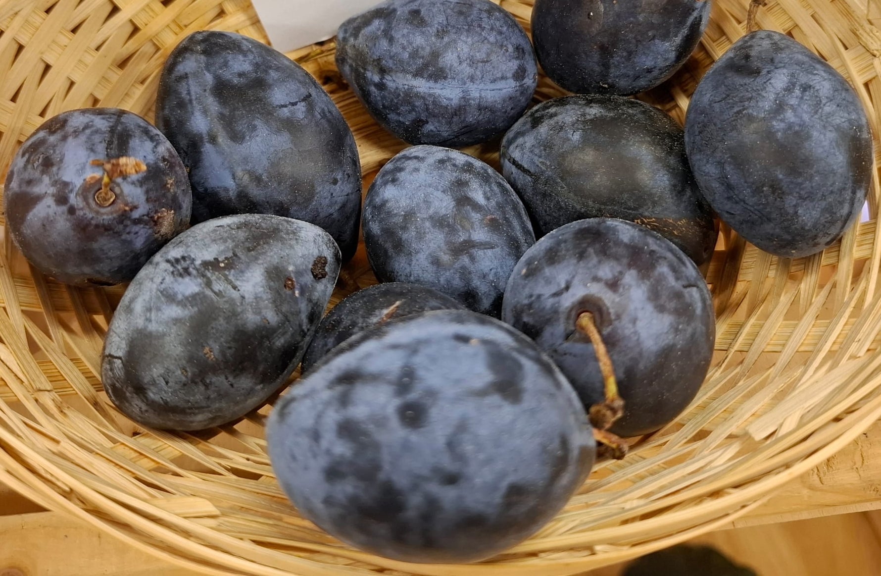 slivka Valjevka zrelé plody