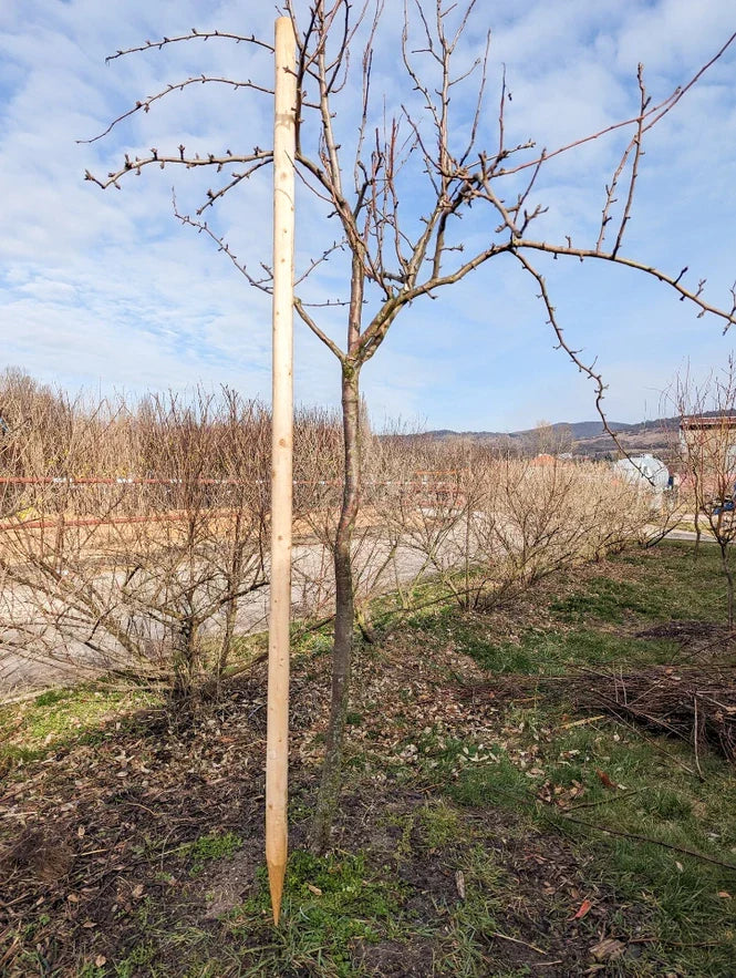 smrekove koly frezovane material k vysadbe 	
OMKVSKF200 	
OMKVSKF250