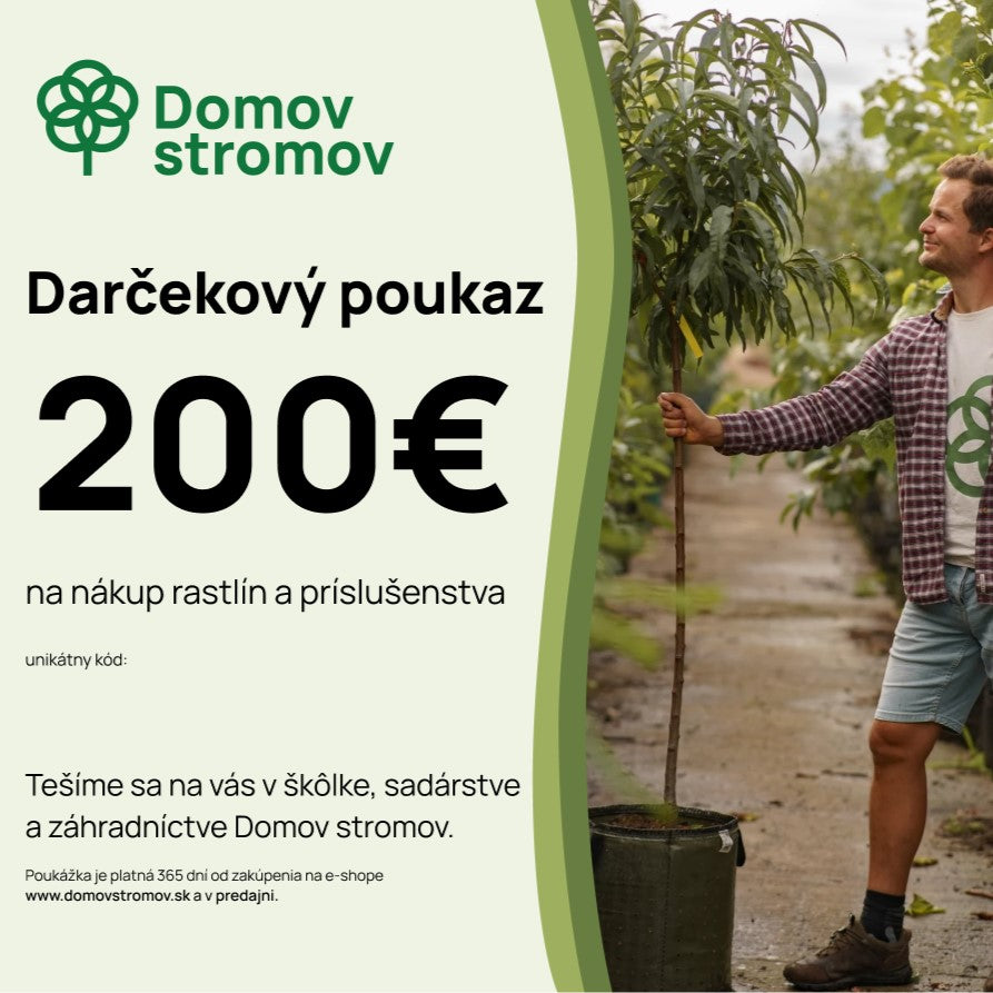 Darčekový poukaz 200€