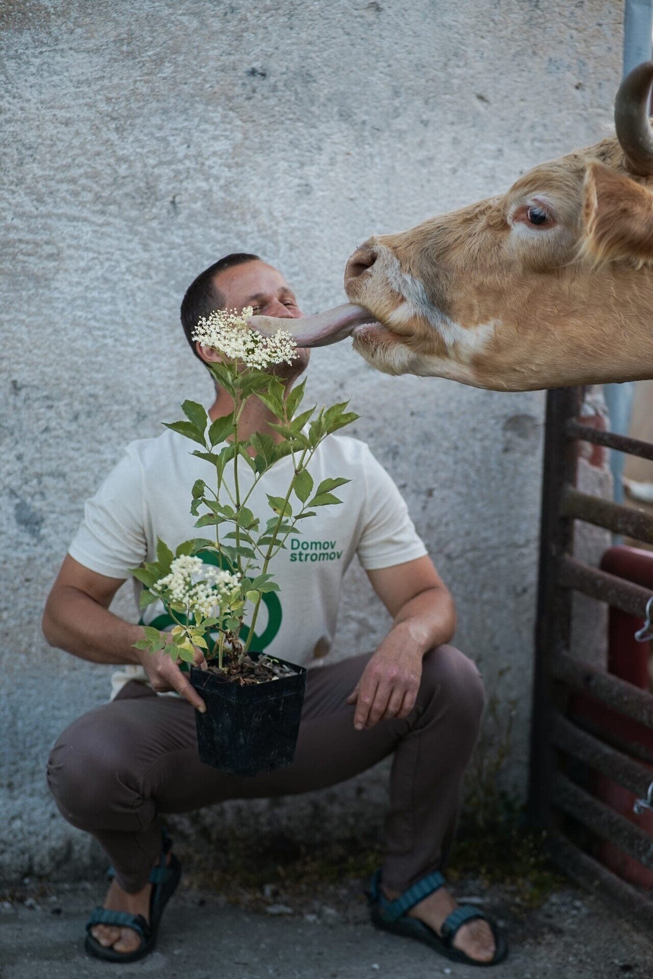 merch tričko domov stromov biobavlna OMTRIDSM
