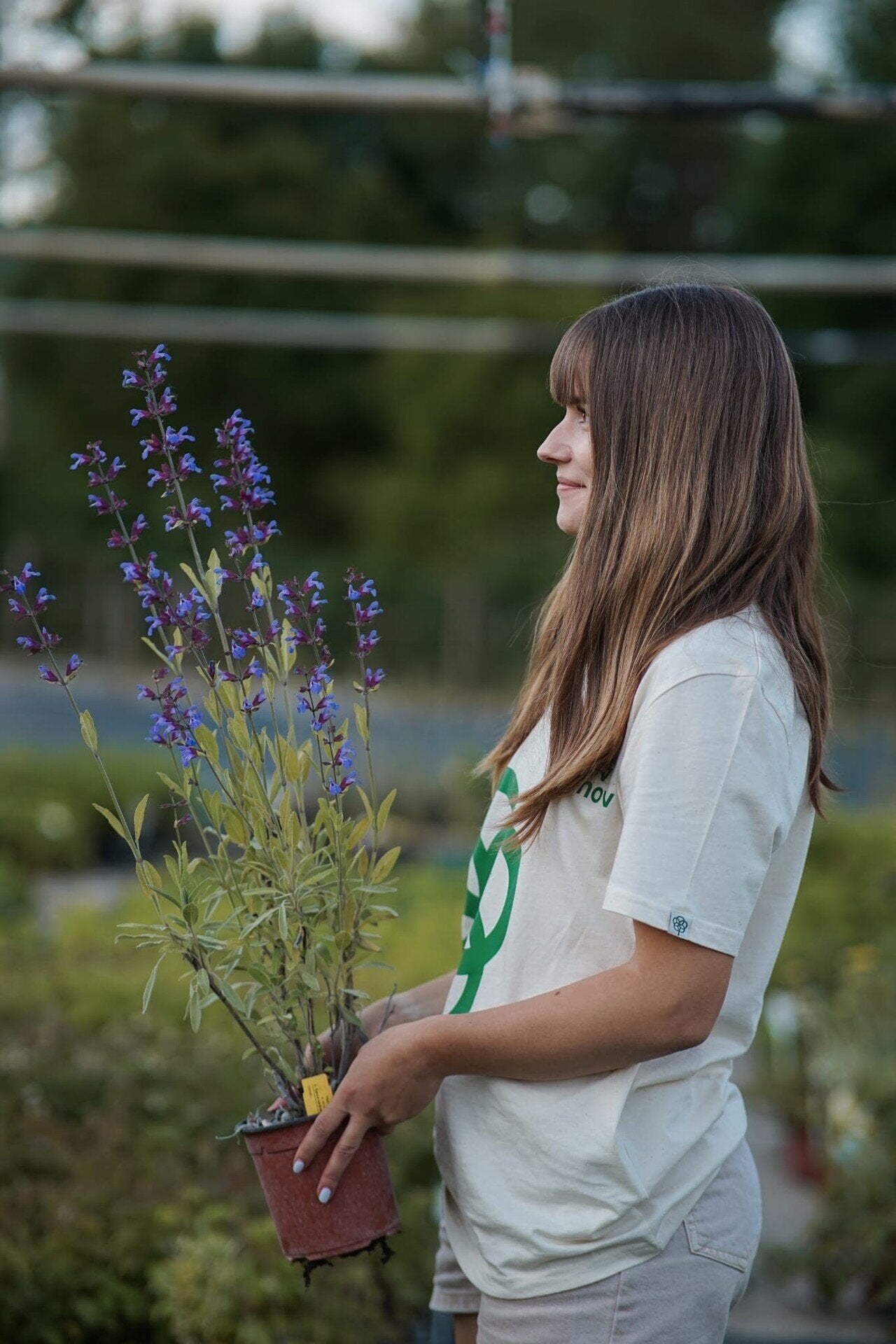 merch tričko domov stromov biobavlna OMTRIDSS
